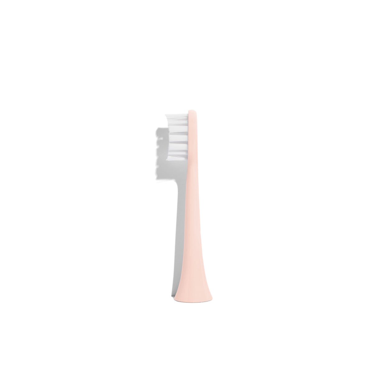 Gem Electric Toothbrush Replacement Heads: Watermelon