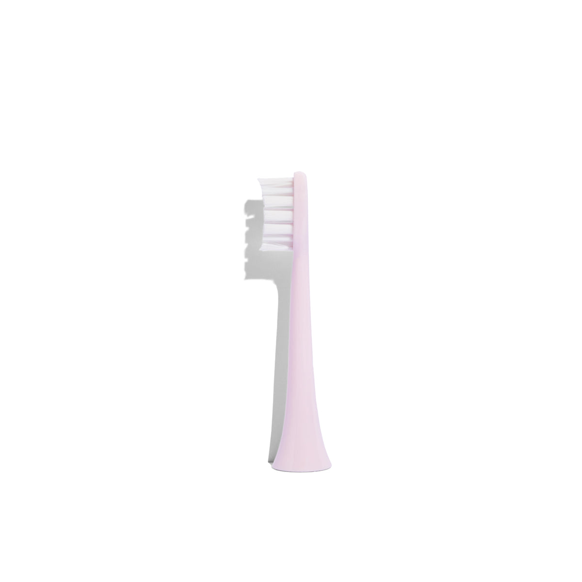 Gem Electric Toothbrush Replacement Heads: Coconut